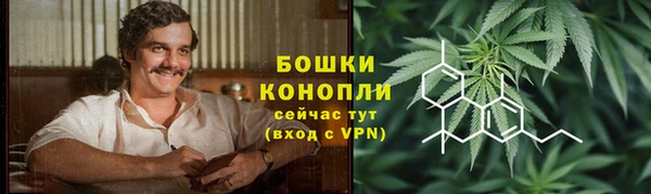 дживик Майский