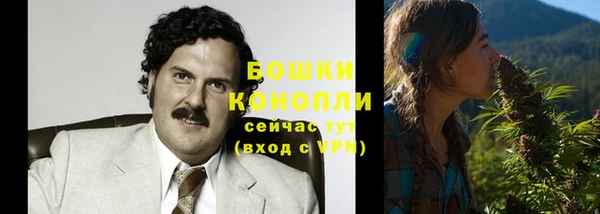 стаф Магас