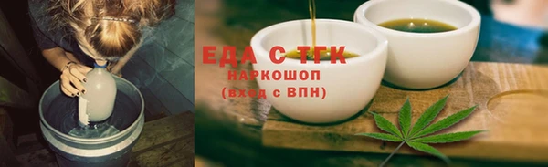 стаф Магас