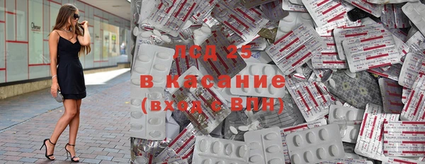 стаф Магас