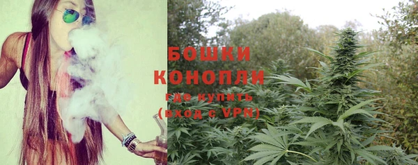 дживик Майский