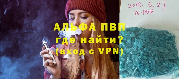 стаф Магас