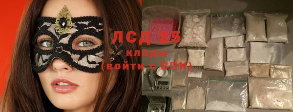 стаф Магас