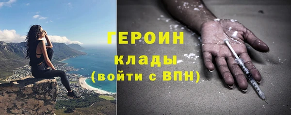 стаф Магас