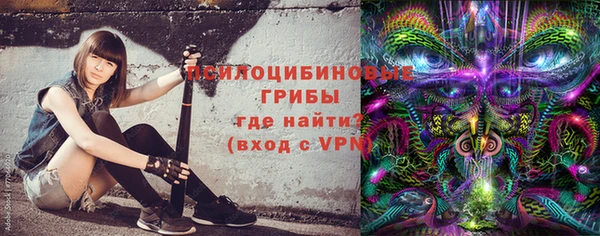 дживик Майский