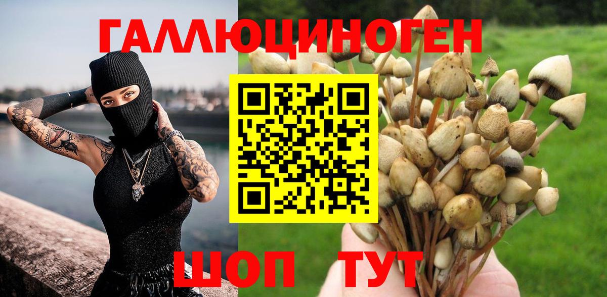 Псилоцибиновые грибы мухоморы Грозный