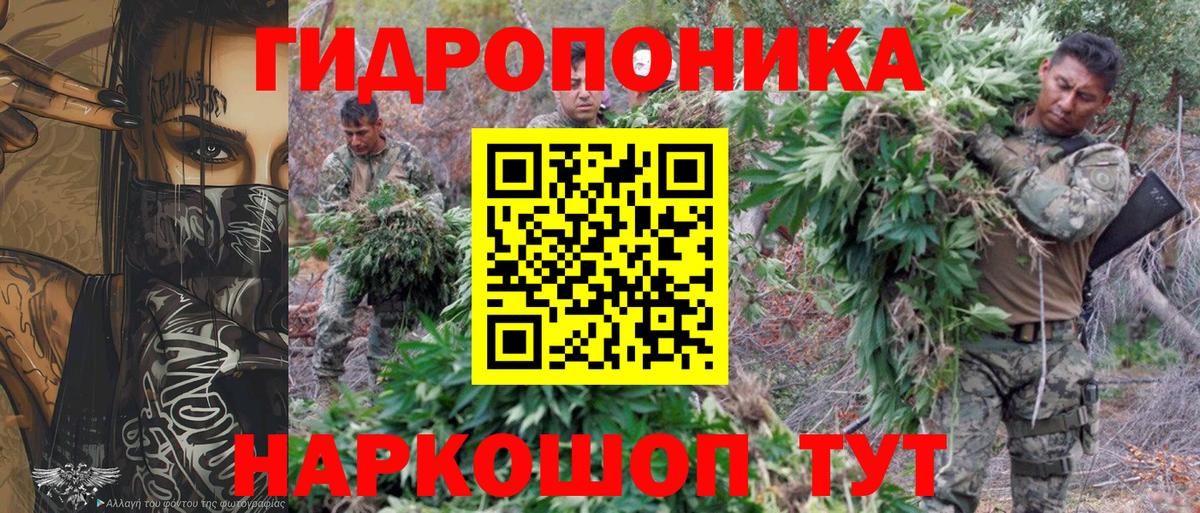 Марихуана конопля Грозный