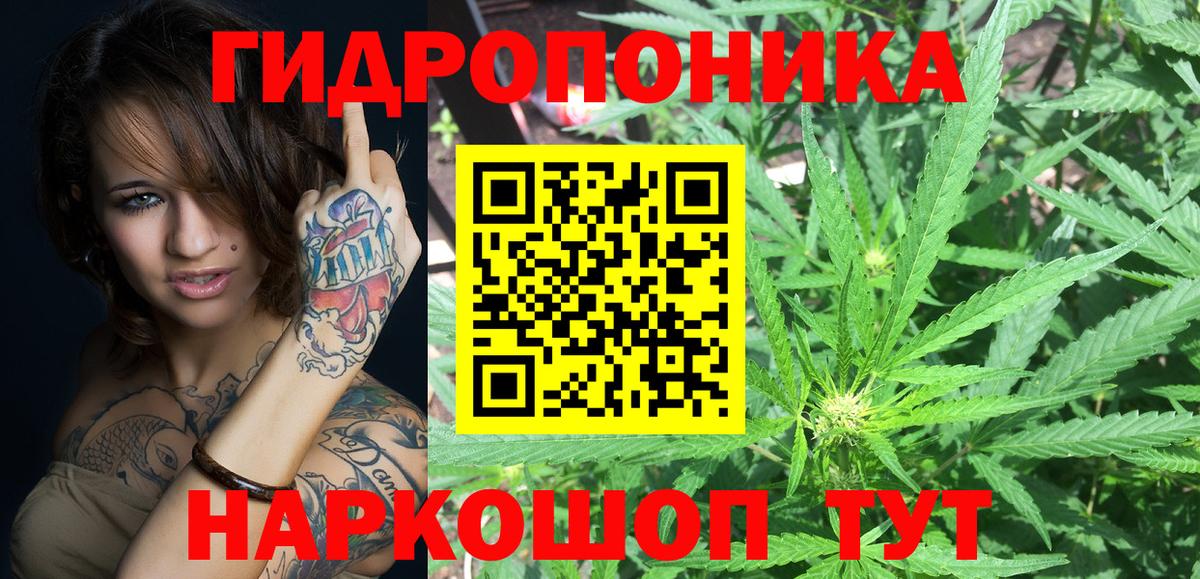 Бошки Шишки семена  Канабис семена  Грозный  Вход с VPN  Бошки Шишки White Widow 